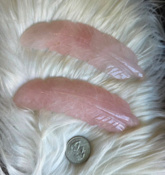 Rose Quartz feather (pull for 1)