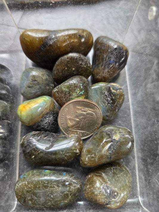 Labradorite Tumbled Stone (random pull for 1)
