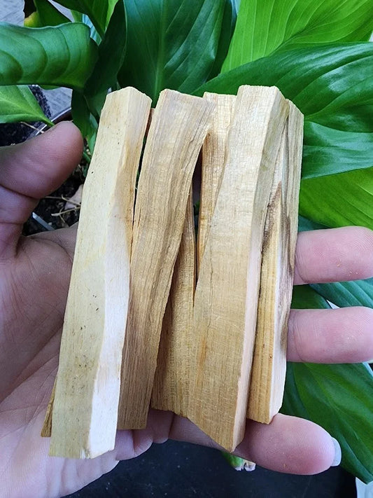Palo Santo Sticks