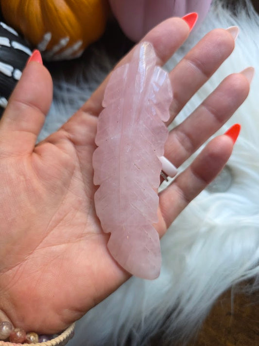 Rose Quartz feather (pull for 1)